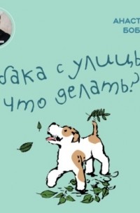 Настя Бобкова - Собака с улицы: что делать?