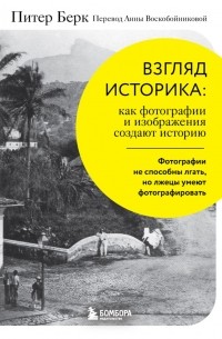 Питер Берк - Взгляд историка: как фотографии и изображения создают историю