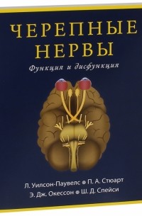  - Черепные нервы. Функция и дисфункция