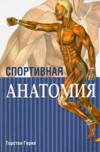 Спортивная анатомия