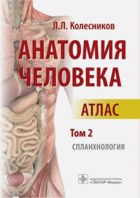 Лев Колесников - Анатомия человека Атлас Т. 2 Спланхнология  Колесников