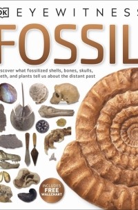 Fossil