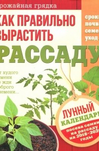 Как правильно вырастить рассаду