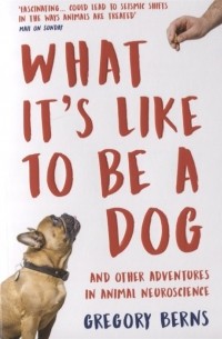 Грегори Бернс - What It s Like to Be a Dog