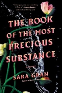 Sara Gran - The Book of the Most Precious Substance