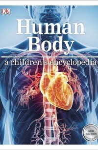 Human Body. A children s encyclopedia