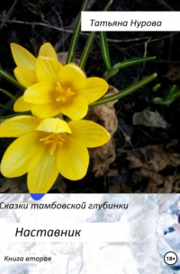 Сказки тамбовской глубинки. Вторая книга. Наставник