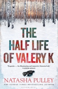 Наташа Полли - The Half Life of Valery K