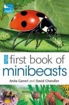  - RSPB First Book Of Minibeasts