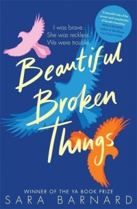 Сара Барнард - Beautiful Broken Things