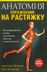 Анатомия упражнений на растяжку