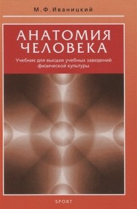 Михаил Иваницкий - Анатомия человека. Учебник для высших учебных заведений физической культуры