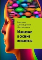 Владимир Александрович Дресвянников - Мышление в системе интеллекта