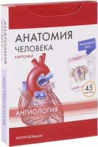  - Анатомия человека Ангиология 45 карточек