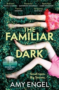 Эми Энджел - The Familiar Dark
