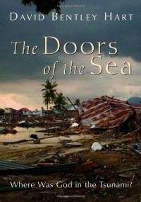 Дэвид Бентли Харт - The Doors of the Sea: Where Was God in the Tsunami?