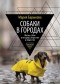Барыкова Мария Николаевна - Собаки в городах. Жизнь собак в истории, искусстве и обществе