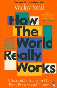 Вацлав Смил - How the World Really Works: A Scientist’s Guide to Our Past, Present and Future