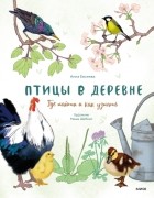 Анна Евсеева - Птицы в деревне. Где найти и как узнать