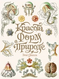 Эрнст Генрих Геккель - Красота форм в природе