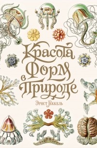 Эрнст Генрих Геккель - Красота форм в природе