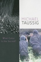 Майкл Тауссиг - What Color Is the Sacred?