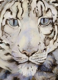 Jackie Morris - The Snow Leopard