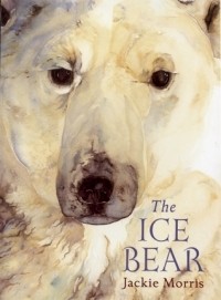 Jackie Morris - The Ice Bear