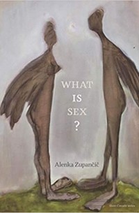 Аленка Зупанчич - What Is Sex?