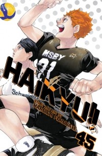 Haikyu!!, Vol. 45
