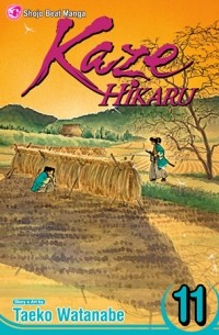 Kaze Hikaru, Vol. 11