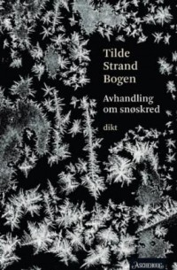 Тильда Боген - Avhandling om snøskred