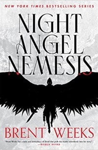 Брент Уикс - Night Angel Nemesis