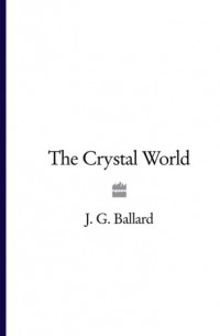 Роберт Макфарлейн - The Crystal World