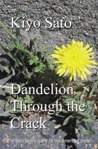 Dandelion Through the Crack