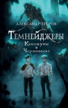 Егоров Александр Альбертович - Темнейджеры. Каникулы в Чернолесье