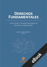 C?sar Landa - Derechos fundamentales