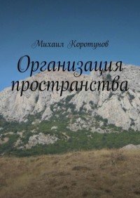 Михаил Викторович Коротунов - Организация пространства