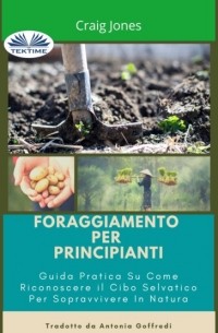 Foraggiamento Per Principianti