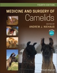 Группа авторов - Medicine and Surgery of Camelids