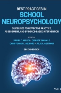 Группа авторов - Best Practices in School Neuropsychology