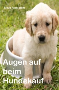 Augen auf beim Hundekauf