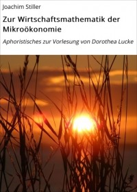 Joachim Stiller - Zur Wirtschaftsmathematik der Mikro?konomie