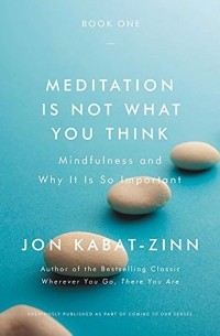 Джон Кабат-Зинн - Meditation Is Not What You Think