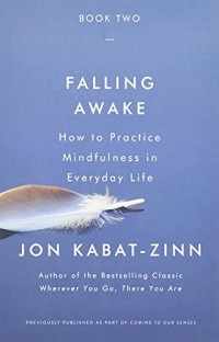 Джон Кабат-Зинн - Falling Awake: How to Practice Mindfulness in Everyday Life