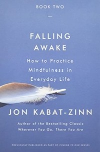 Джон Кабат-Зинн - Falling Awake: How to Practice Mindfulness in Everyday Life