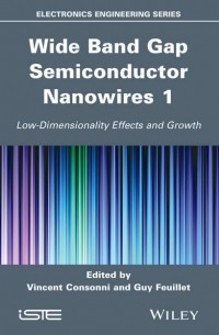 Wide Band Gap Semiconductor Nanowires 1