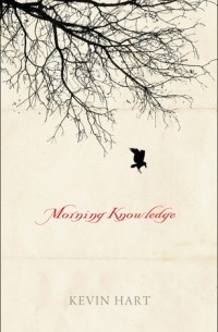 Kevin John Hart - Morning Knowledge