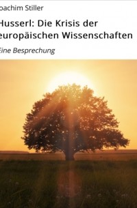 Joachim Stiller - Husserl: Die Krisis der europ?ischen Wissenschaften