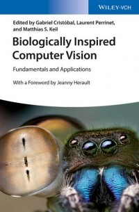 Группа авторов - Biologically Inspired Computer Vision